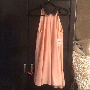 NWT Everleigh Blush Dress- Nordstrom